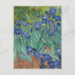 Iren von Van Gogh Postkarte<br><div class="desc">Vincent van Gogh's Art - Bilder von Blumen und Natur - Postimpressionistische Landschaftskunst</div>