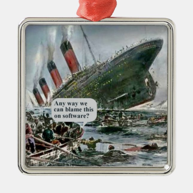 Irgendwie können wir das auf Software beschuldigen Silbernes Ornament (Vorne)