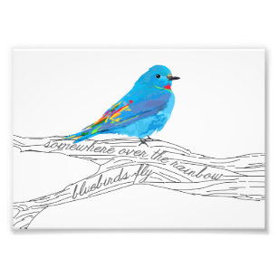 Irgendwo über dem Regenbogen Bluebird Print Fotodruck