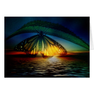 Irgendwo über dem Schmetterling