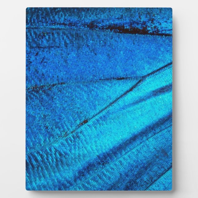 Iridescent Blue Butterfly Wing Fotoplatte (Vorderseite)