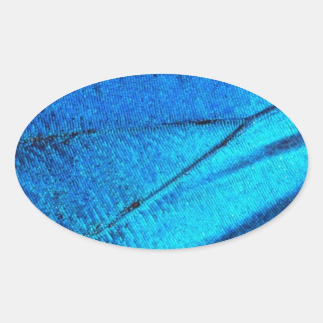 Iridescent Blue Butterfly Wing Ovaler Aufkleber (Vorderseite)