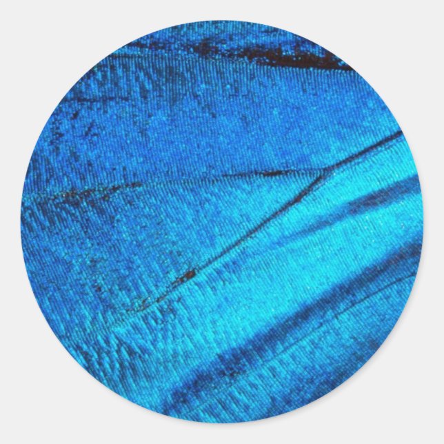 Iridescent Blue Butterfly Wing Runder Aufkleber (Vorderseite)