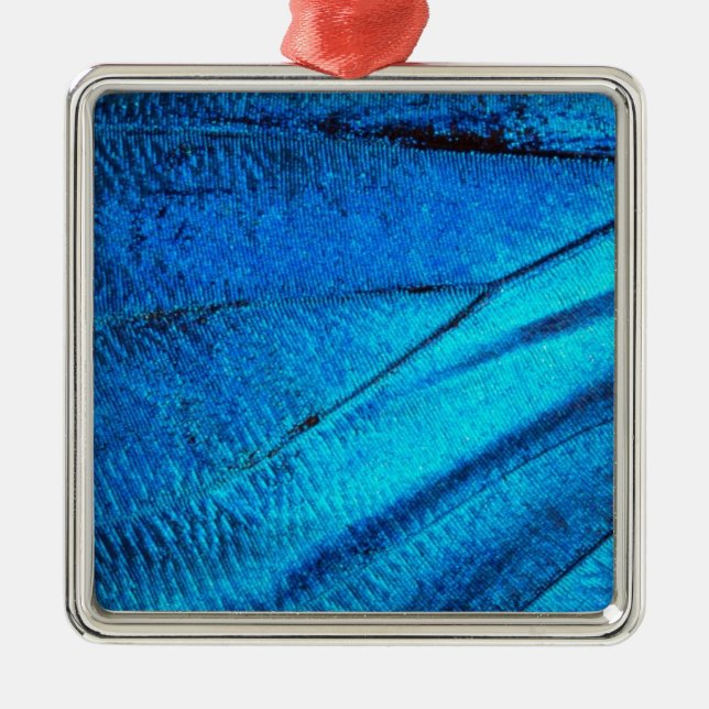 Iridescent Blue Butterfly Wing Silbernes Ornament (Vorne)