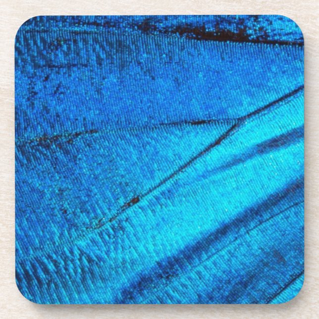 Iridescent Blue Butterfly Wing Untersetzer (Vorderseite)