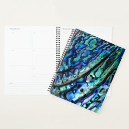 Iridescent Paua Abalone Muschel 2026 Planer