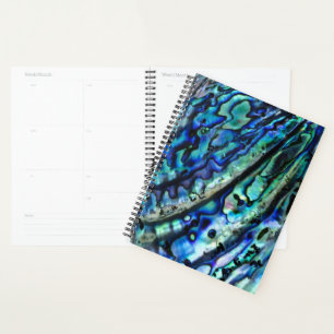Iridescent Paua Abalone Muschel 2026 Planer