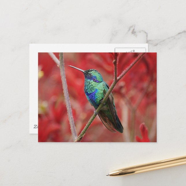 Iridescent Shine Postkarte (Vorderseite/Rückseite Beispiel)