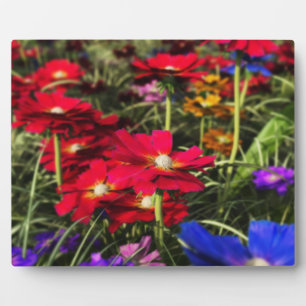Iridescent Spring Foto Plaque Fotoplatte