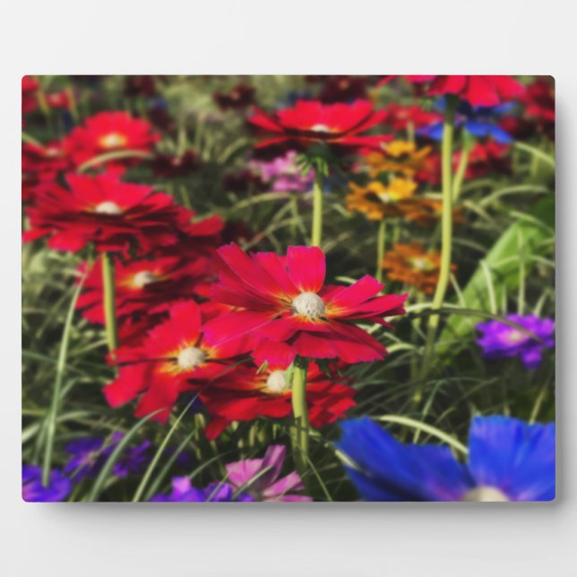 Iridescent Spring Foto Plaque Fotoplatte (Vorderseite)