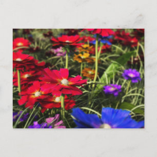 Iridescent Spring Postcard Postkarte