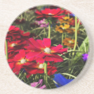 Iridescent Spring Untersetzer