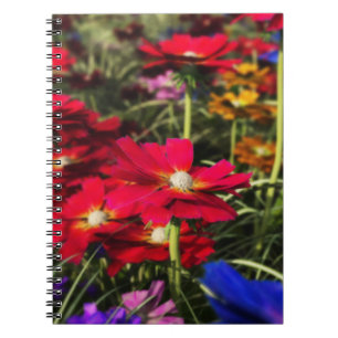 Iridesent Spring Notebook Notizblock