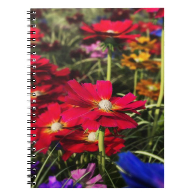 Iridesent Spring Notebook Notizblock (Vorderseite)