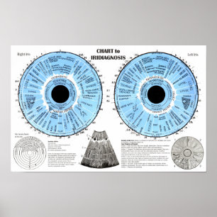 Iridiagnose Iridologie Augenkarte Poster