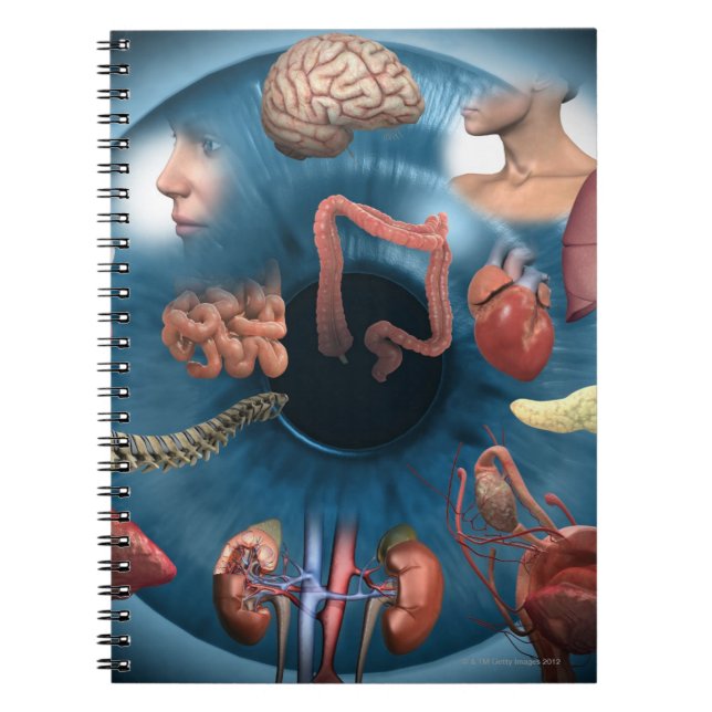 Iridologie Notizblock (Vorderseite)