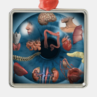 Iridology Ornament Aus Metall