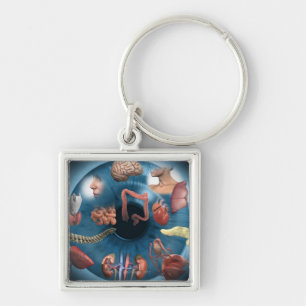 Iridology Schlüsselanhänger