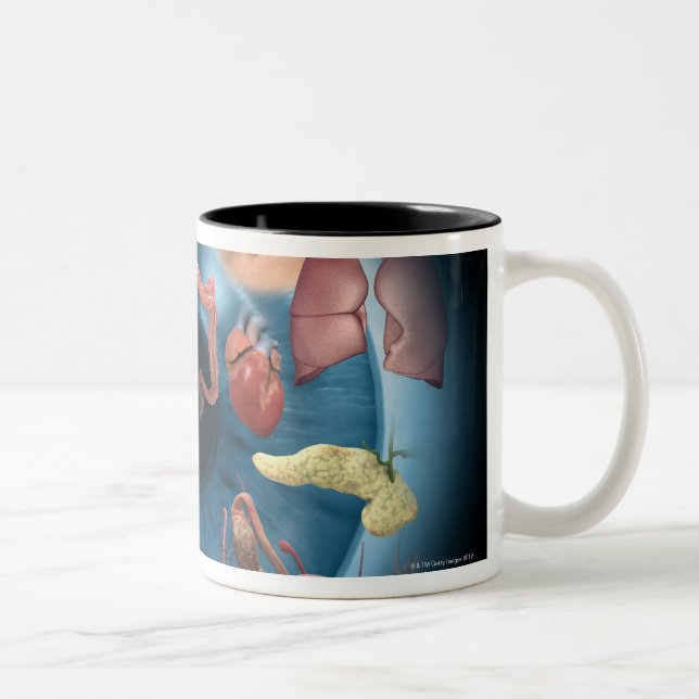 Iridology Zweifarbige Tasse (Rechts)