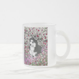 Irie der sibirische Schlittenhund in den Blumen Mattglastasse