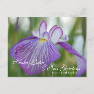 Iris am Swan Lake, Sumter SC Postkarte