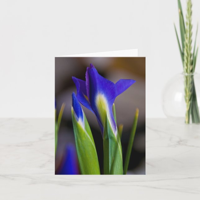Iris-Anmerkungs-Karte Karte (Vorderseite)