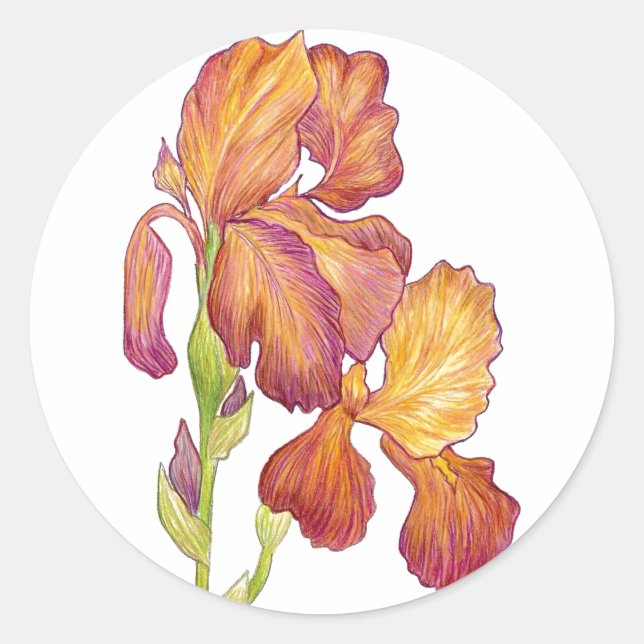 Iris-Aufkleber Runder Aufkleber (Vorderseite)