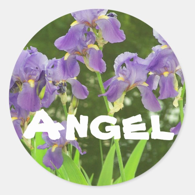 Iris-Aufklebername:, Angel Runder Aufkleber (Vorderseite)
