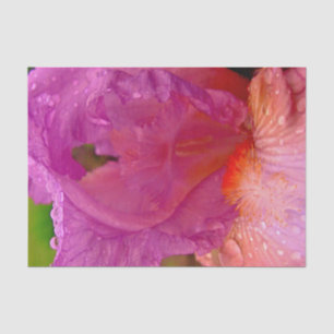 Iris Beauty-Tissue Wrapping Paper Seidenpapier