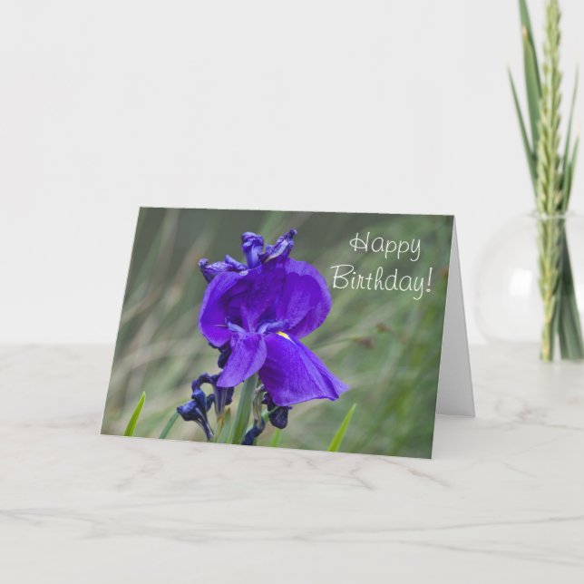 Iris Birthday Card Karte (Vorderseite)