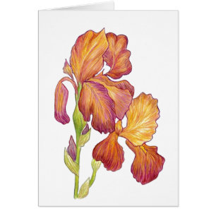 Iris-Blindvermerk in der Karte