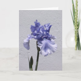 Iris Bloom Karte