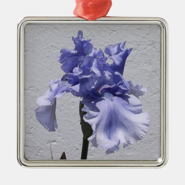 Iris Bloom Ornament Aus Metall (Vorne)