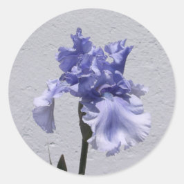 Iris Bloom Runder Aufkleber