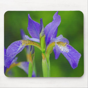 Iris Blue Blume Mousepad