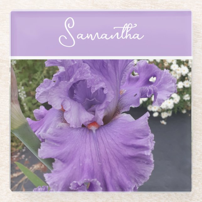 Iris Blume Blume Lila Lavendel Frauen Name Glasuntersetzer (Vorderseite)