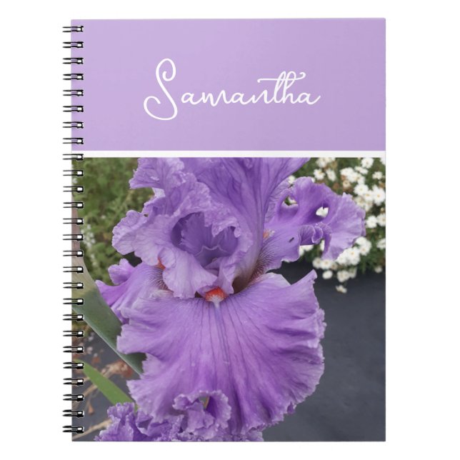 Iris Blume Blume Lila Lavender Lilac Schürze Notizblock (Vorderseite)