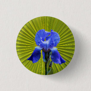 Iris-Blume Button
