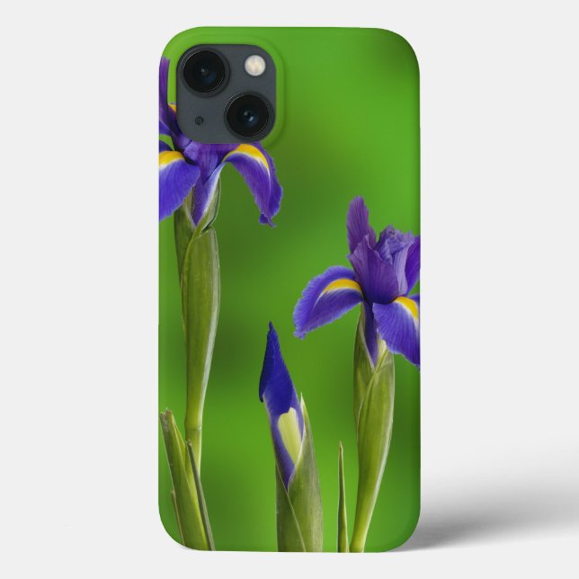 Iris-Blume Case-Mate iPhone Hülle (Rückseite)
