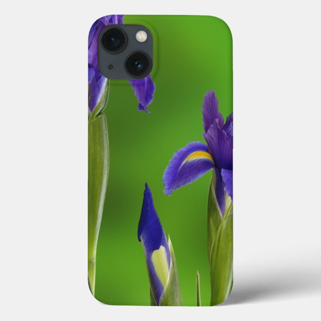 Iris-Blume Case-Mate iPhone Hülle (Rückseite)