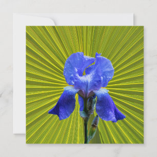 Iris-Blume Feiertagskarte