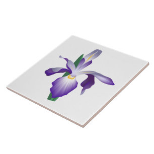 Iris-Blume Fliese
