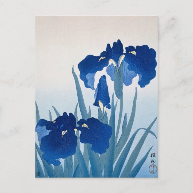 Iris Blume Gemälde von Ohara Koson Postkarte (Vorderseite)