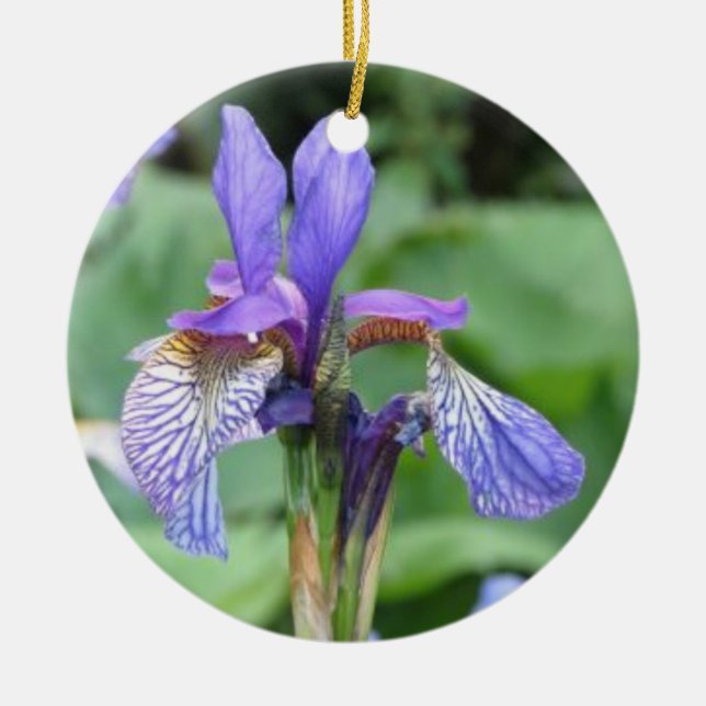 Iris Blume Keramik Ornament (Vorne)