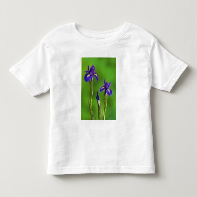 Iris-Blume Kleinkind T-shirt (Vorderseite)