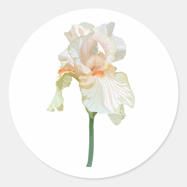 Iris-Blume, lebhafte beige Blütenblätter. Runder Aufkleber (Vorderseite)