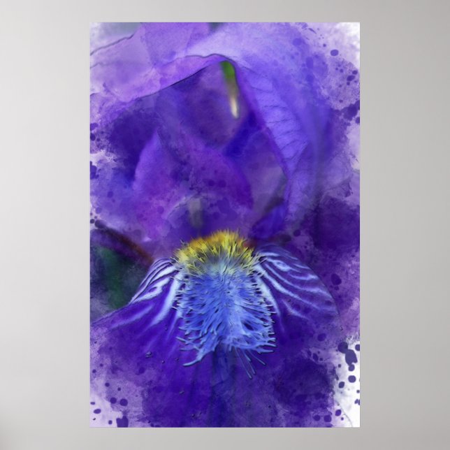 Iris Blume Lila Watercolor Poster (Vorne)