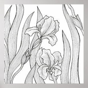Iris-Blume mit schwarzer Tinte Poster