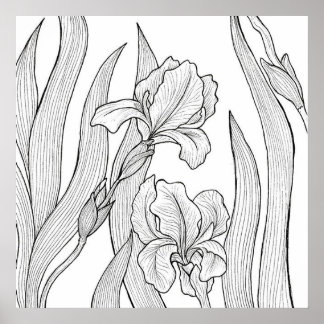 Iris-Blume mit schwarzer Tinte Poster