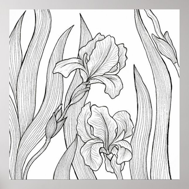 Iris-Blume mit schwarzer Tinte Poster (Vorne)